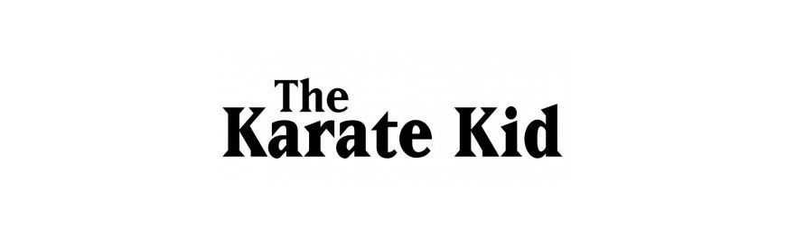 Figuras de colección Karate Kid - www.lacupuladeltrueno.com